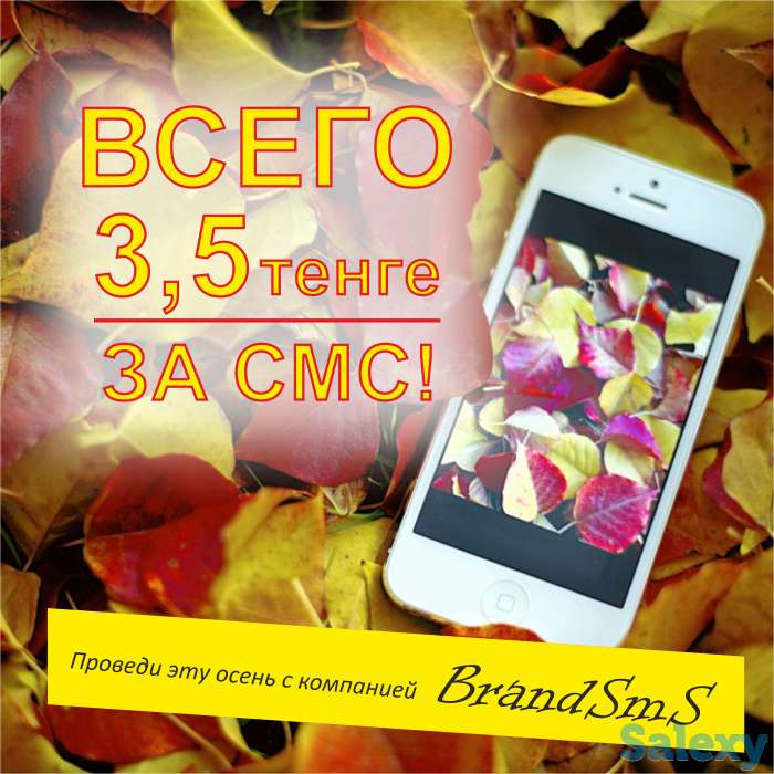 SMS-рассылка, фотография 2