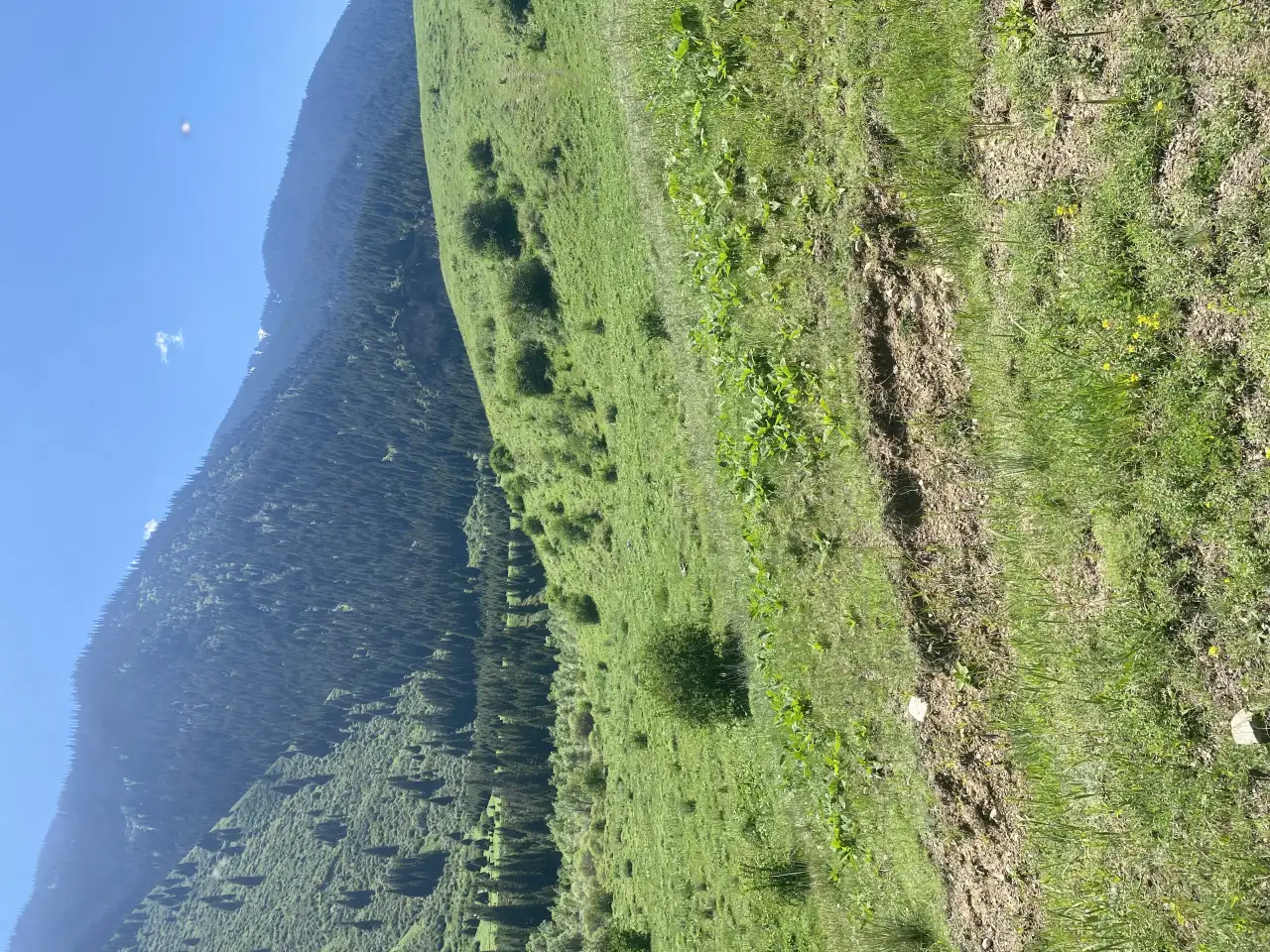 Участок 58 соток у озера колсай, Колсай, фотография 3