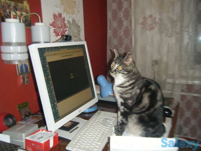 курсы, фотография 1