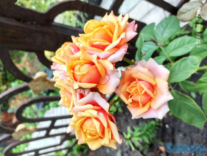 Продаем дом, фотография 10