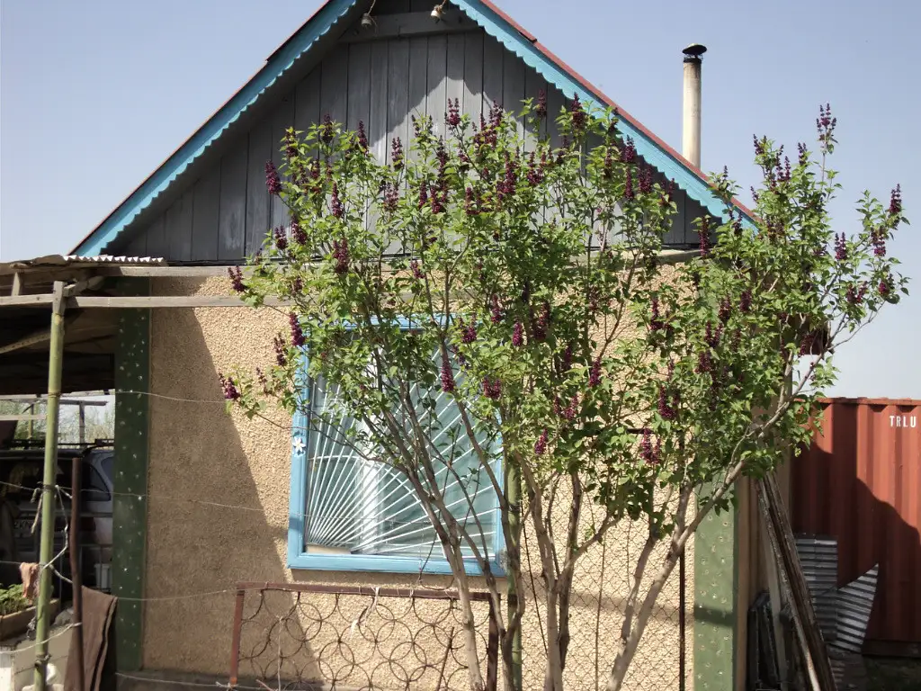 Продам дачу., фотография 1