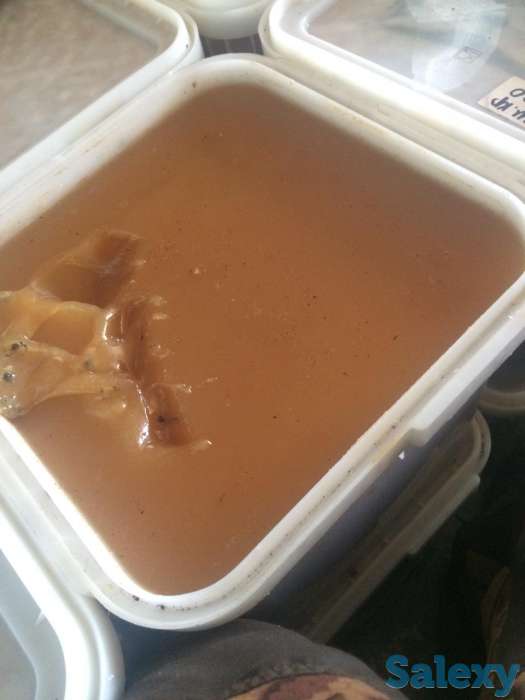 Мёд Усть-Каменогорский Катон-Карагай, фотография 10