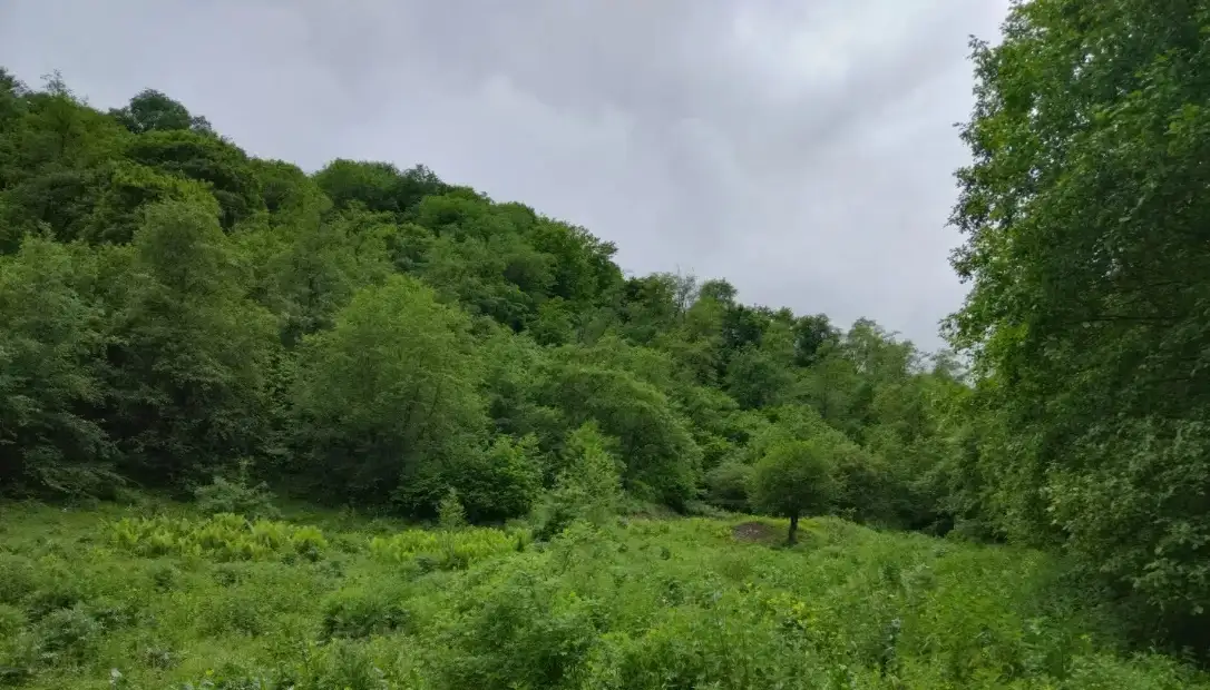 Продажа земли, алматы, фотография 1