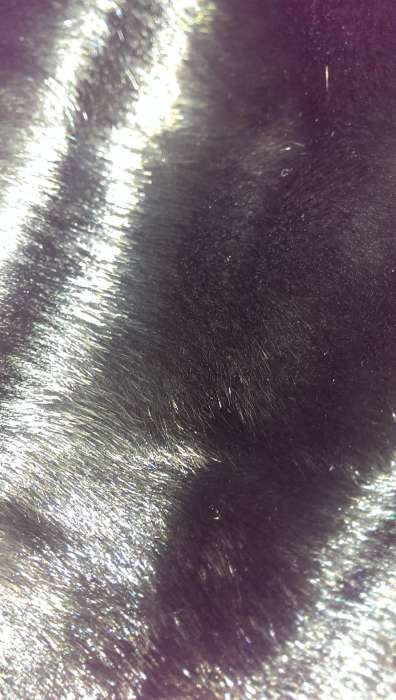 Норковая шуба , фотография 7