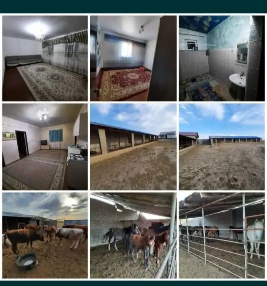 Фазенда, Кольащы, фотография 1