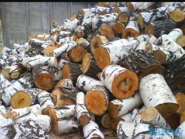 Дрова березовые, фотография 1