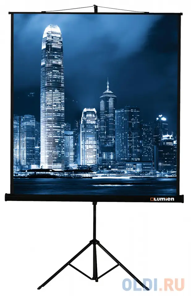 Экран на штативе lumien master view 203х203, lmv-100109, фотография 1