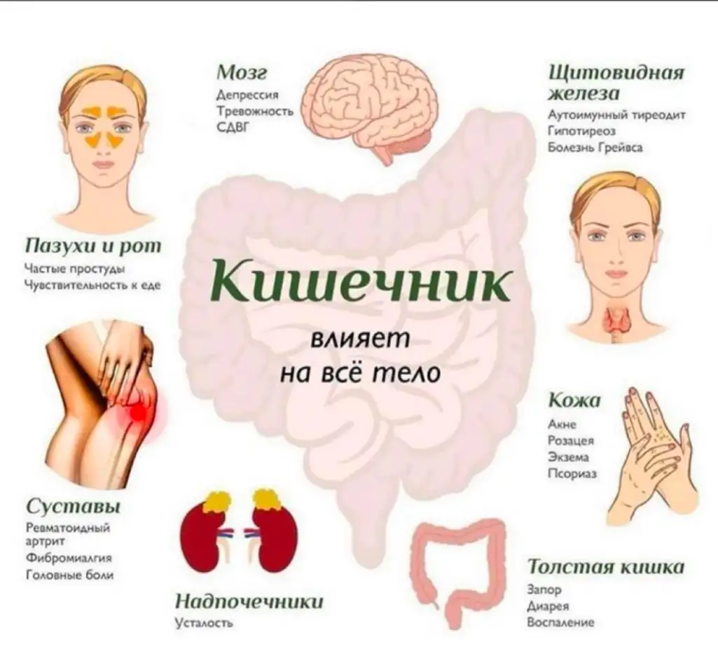 Глубокая Очистка организма, фотография 3
