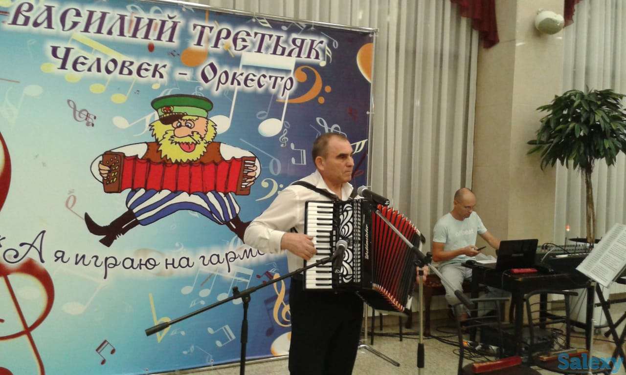 Аккордеонист/Баянист/Музыкант/Ведущий/Артисты/Цыгане, фотография 2