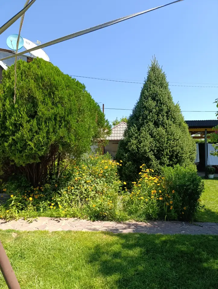 Сдается дача со всеми удобствами всё необходимое естьдла хорошего отдыха, фотография 5