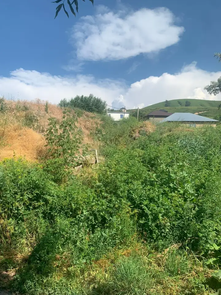 Продам участок 6 соток, село Бесагаш, ПК «Тау-Думан», фотография 2