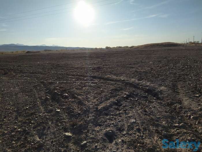 Механизированные работы. Пахота., фотография 5