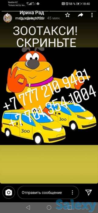 Зоотакси в Нур-Султане, фотография 1