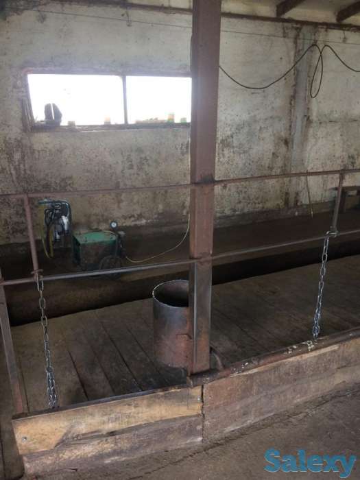 Продаётся животноводческая ферма, фотография 4