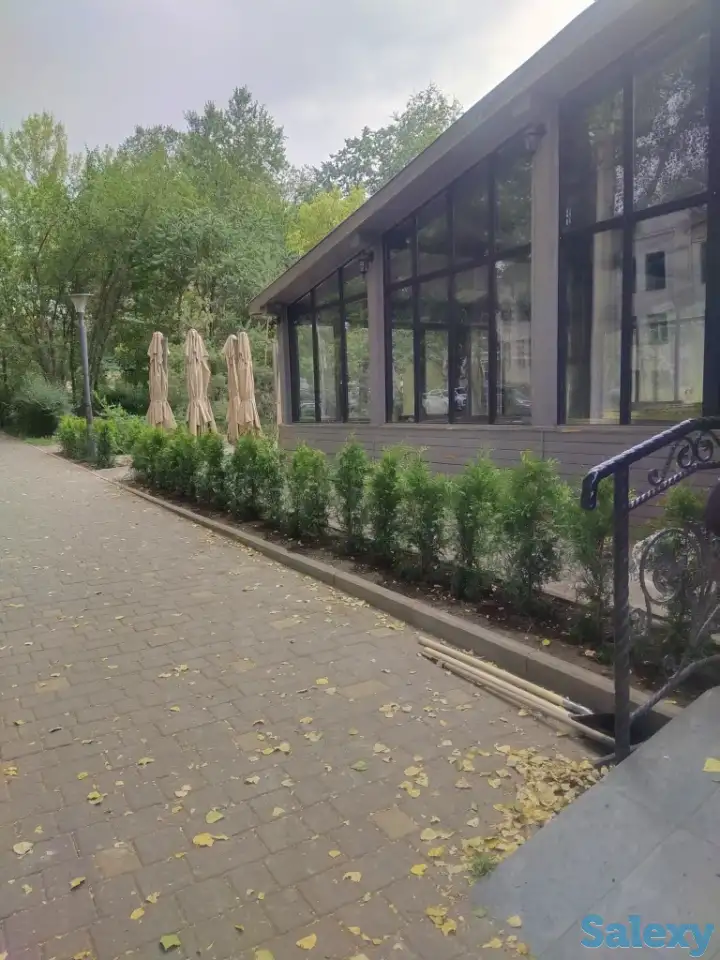 Ландшафтные работы. Озеленение., фотография 3