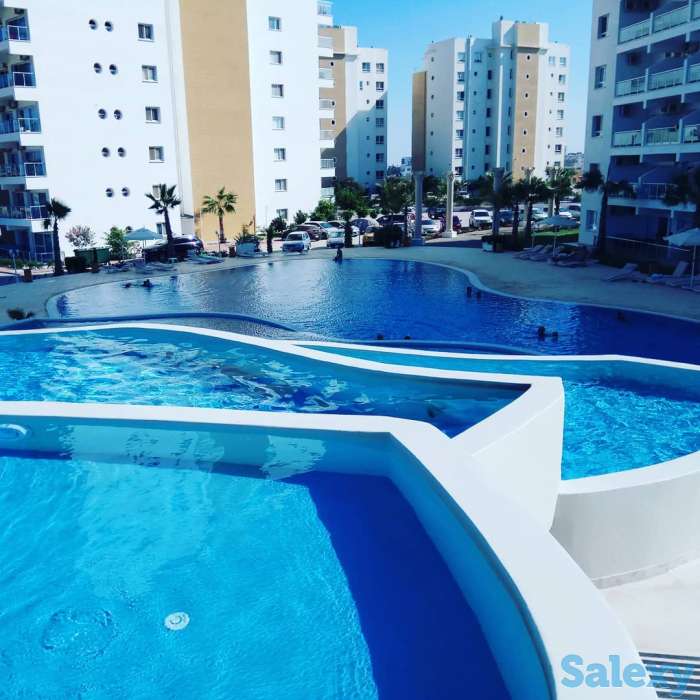 Квартиры на море, в 600 метрах  от пляжа, фотография 5