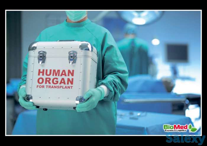 BioMed Express and Logistics, фотография 2