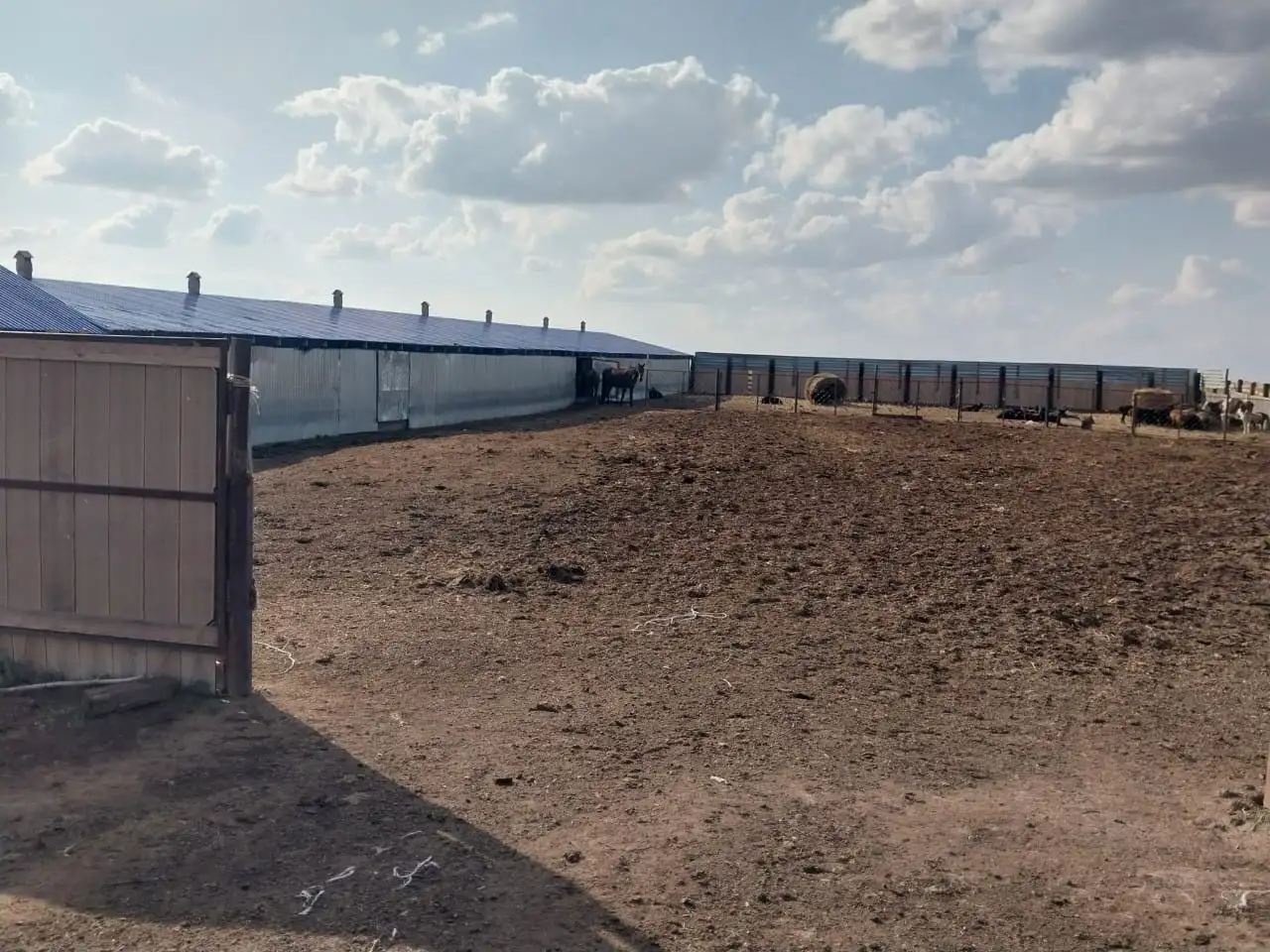 Продам готовое КХ, фотография 4