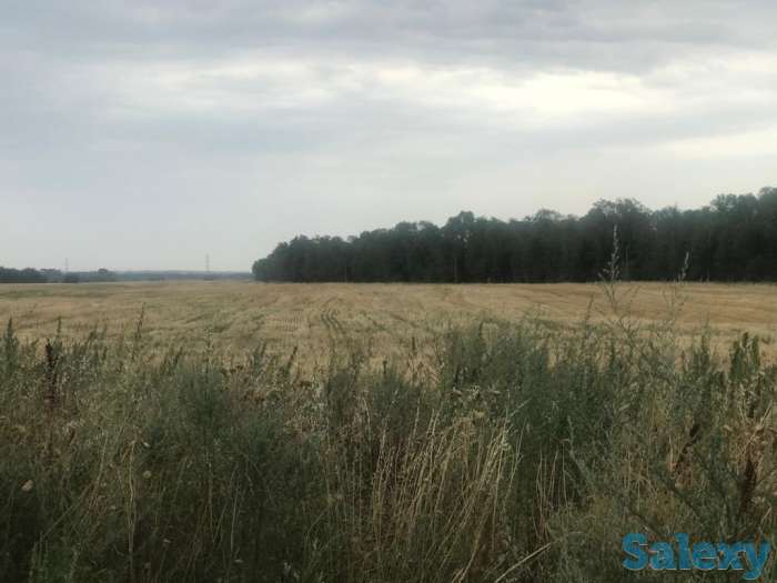 Продам землю 53 га!, район, Панфиловский сельский округ, фотография 1