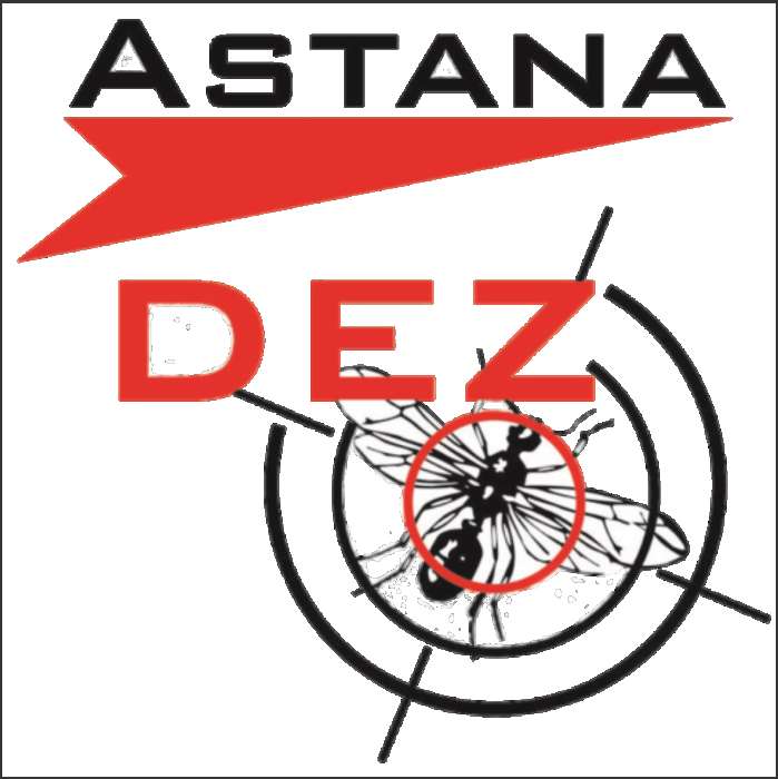  Дезинфекция в Астане, фотография 1