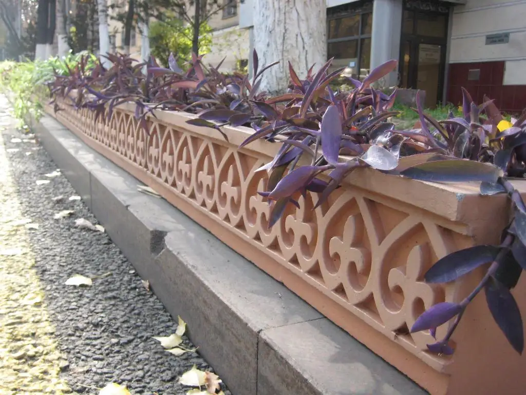 Продажа вазонов, фотография 2