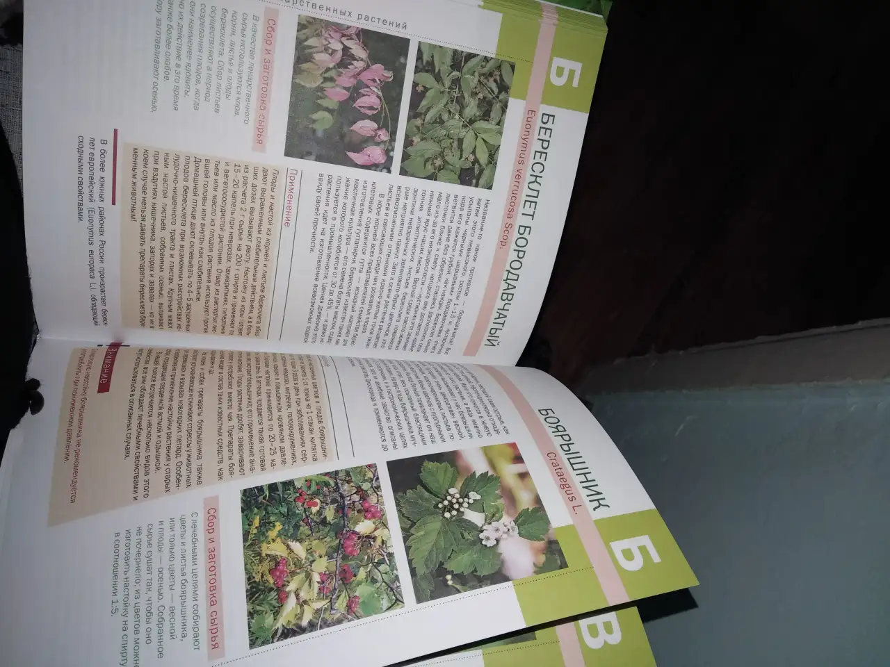 Продам, фотография 2