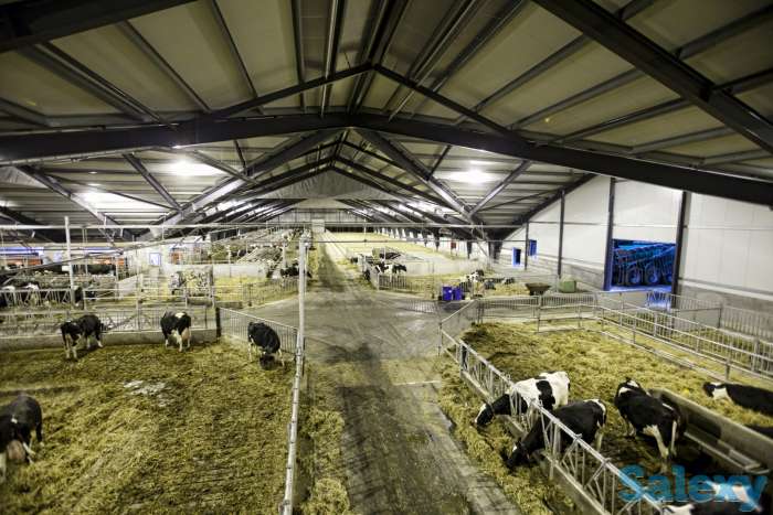 Теплицы на любой вкус, фотография 8