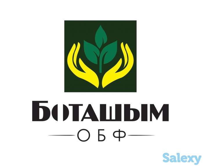 Предлагаем работу студентам и не только с гибким графиком., фотография 1