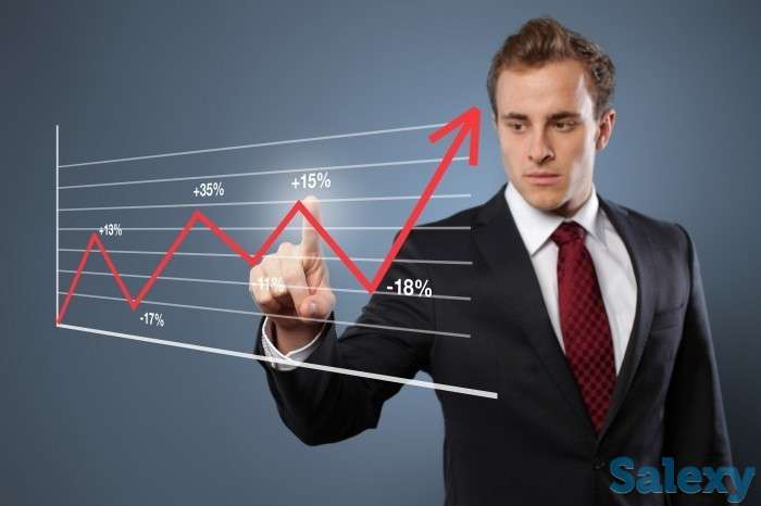 Ищем партнера с бизнес идеей, фотография 1