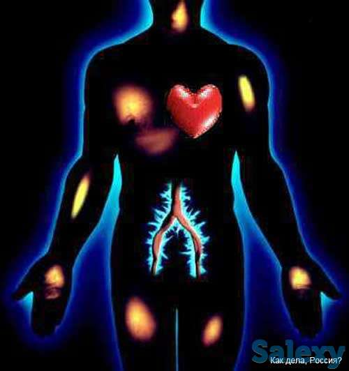 Полная диагностика всего организма, фотография 1