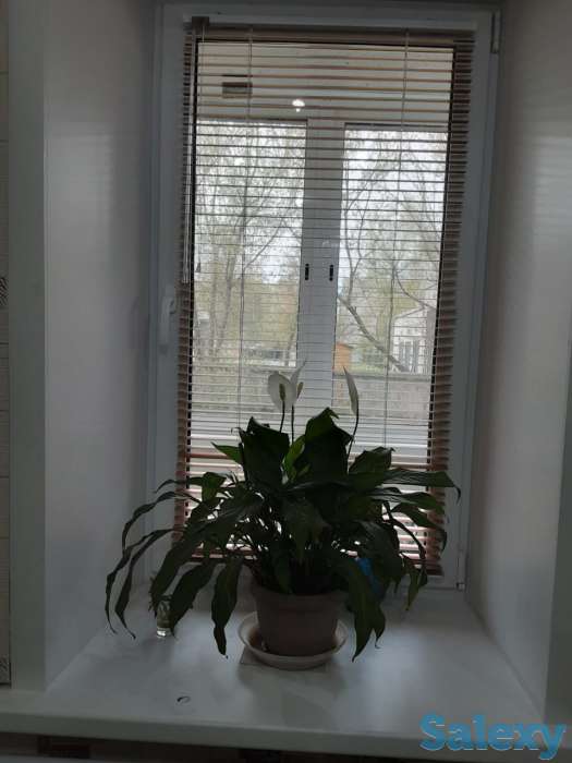 Продам квартиру, Кунаева 38, фотография 12