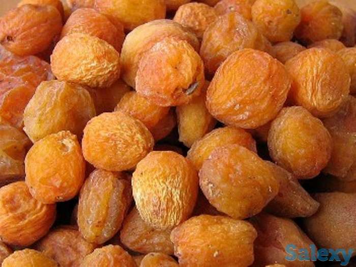 Саженцы абрикоса Кандак, фотография 1