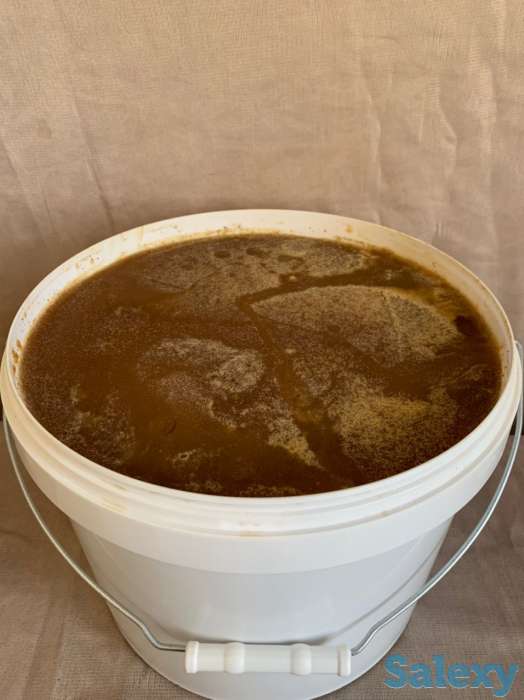 Продам мёд, Сотовый мёд, Продукты пчеловодства. Опт., фотография 4