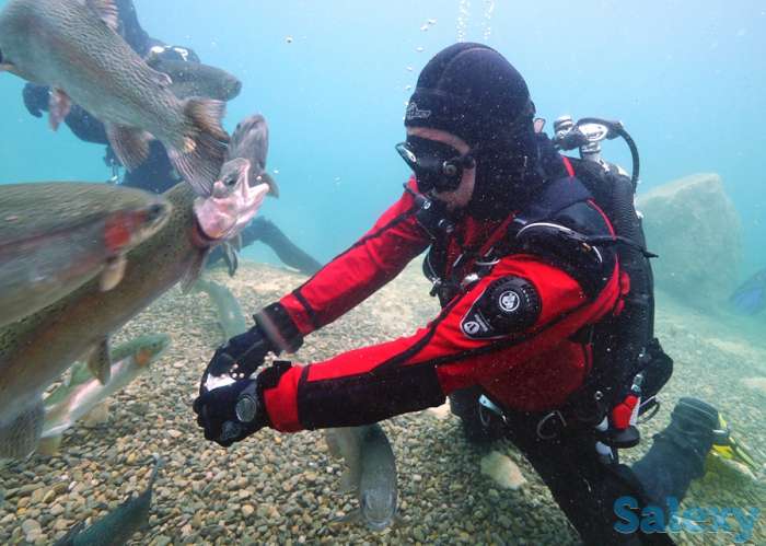 Гидрокостюм fusion bullet blue,, фотография 7