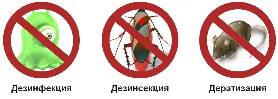 Дезинсекция, дезинфекция, детаризация, фотография 2