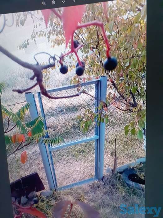 Продам Дачу, фотография 5