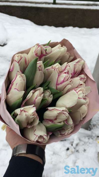 Голландские тюльпаны 10 лучших сортов,оптом и в розницу !, фотография 8