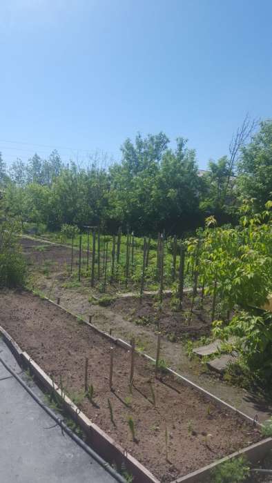 Продам или обмен, фотография 5