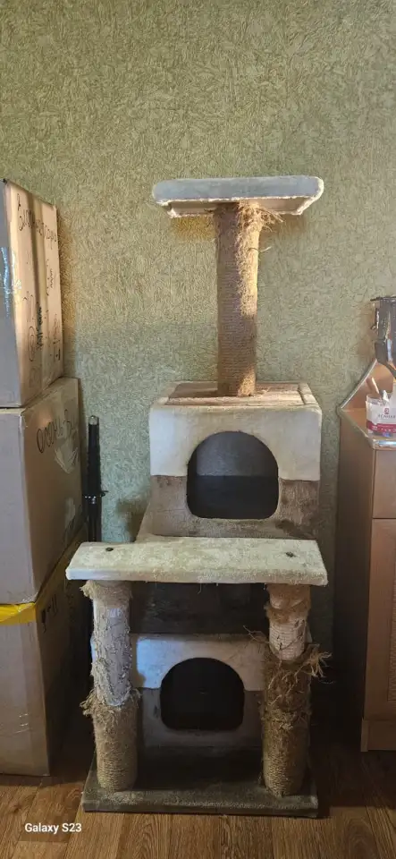 Продам кошачий дом, фотография 1