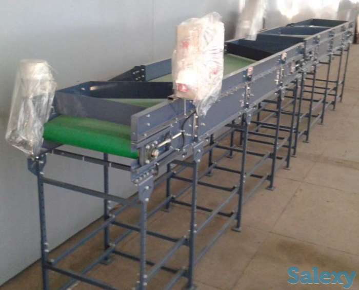 Ленточный конвейер для овощей и картофеля, фотография 1