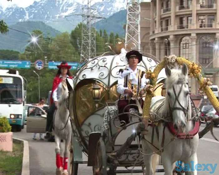карета в Алматы, фотография 1