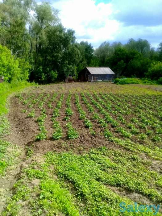 Продам дом в п. Глубокое, ул.Степная 120, фотография 3