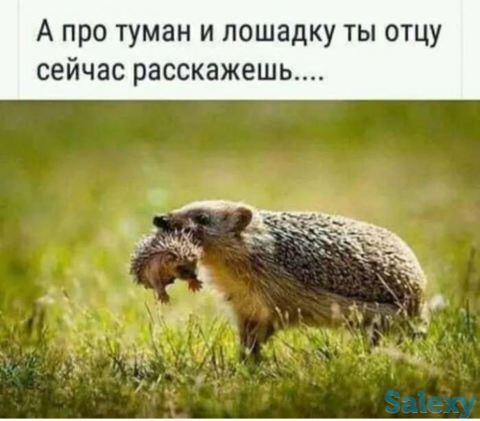 Няня на дому, фотография 1