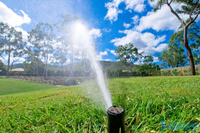 система полива города, фотография 1