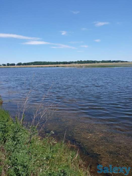 Готовый быстро окупаемый бизнес, фотография 2