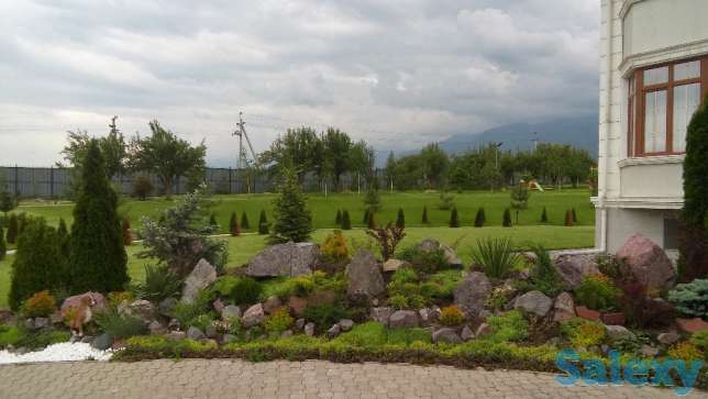 Озеленение благоустройство участка, фотография 4