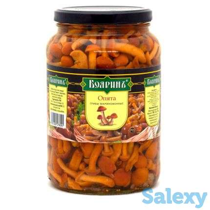 Опята маринованные с/б, ж/б, фотография 1