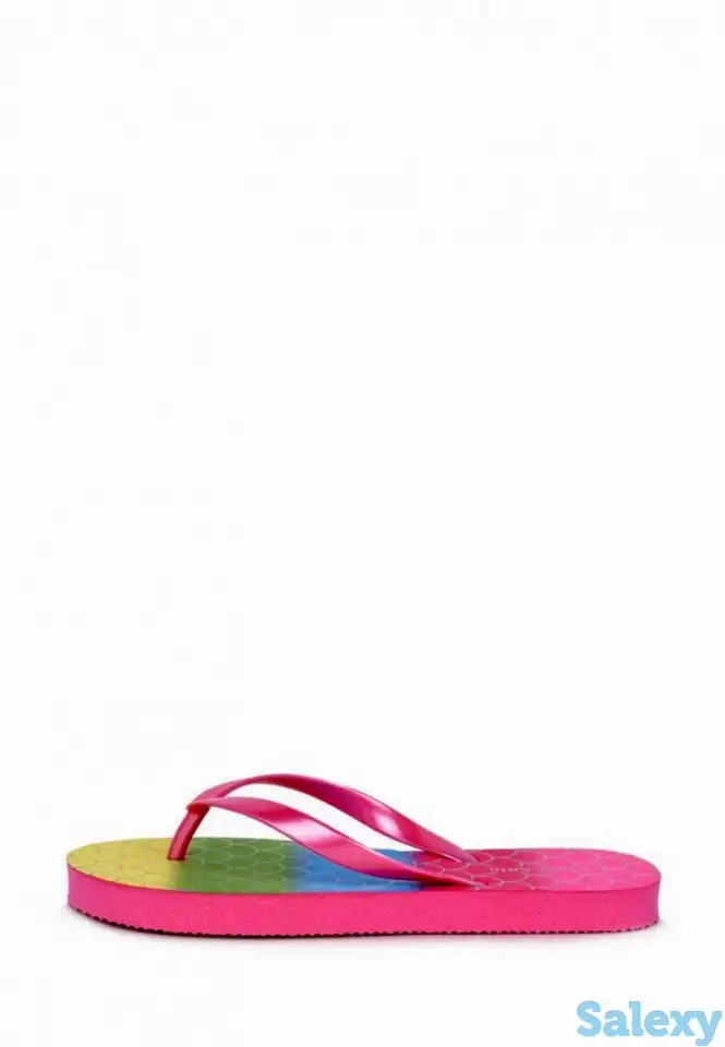 Сланцы t.taccardi, фотография 2