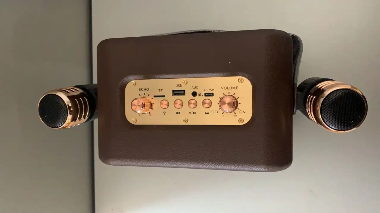 Колонка музыкальная беспроводная с караоке, фотография 3