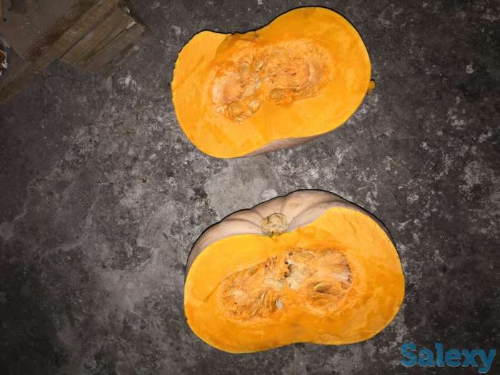 тыква оптом, фотография 1